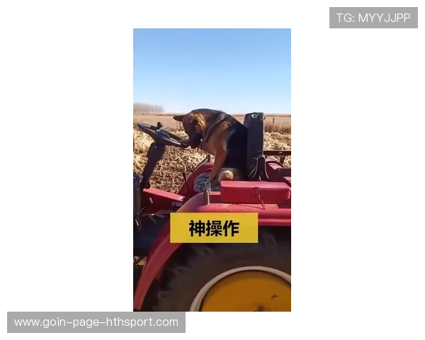 车手抱怨方向盘故障：像在开拖拉机